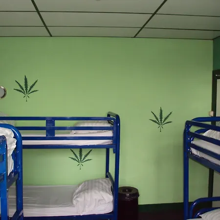 אכסניה Flying Pig Uptown *