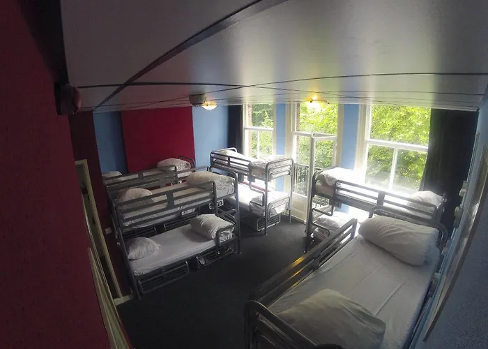 Flying Pig Uptown * أمستردام