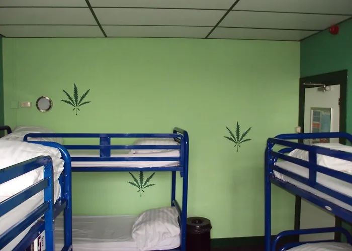 بيت شباب Flying Pig Uptown *