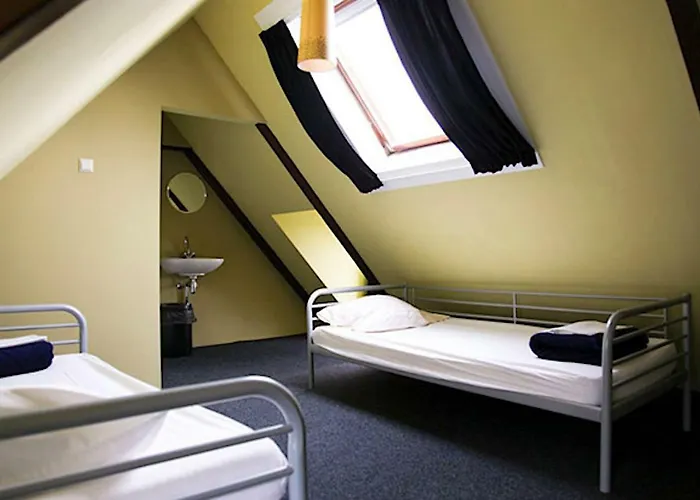 Flying Pig Uptown بيت شباب أمستردام